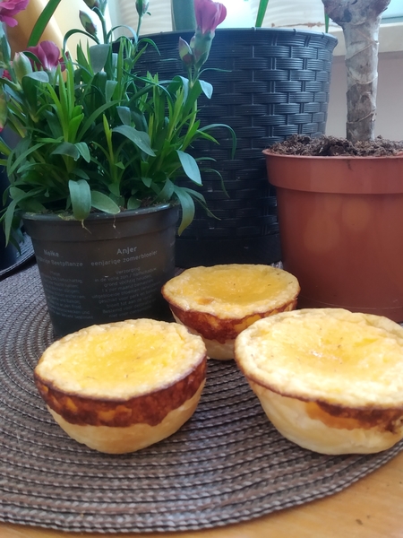 pasteis de nata